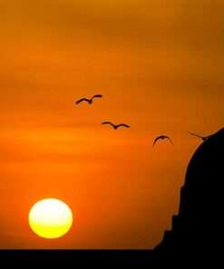 বয়স্কদের ফরজে আইন