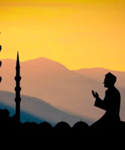 ক্যালিগ্রাফি কোর্সের মডিউল